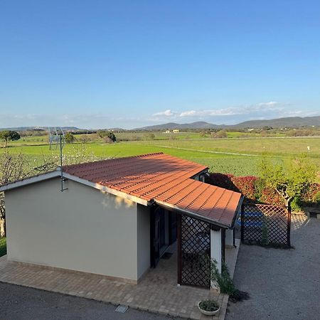Agriturismo I Debbi Биббона Экстерьер фото